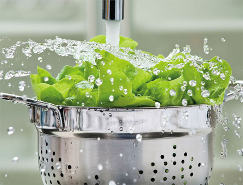 เคล็ดลับการล้างผักให้สะอาดปราศจากสารพิษตกค้าง 