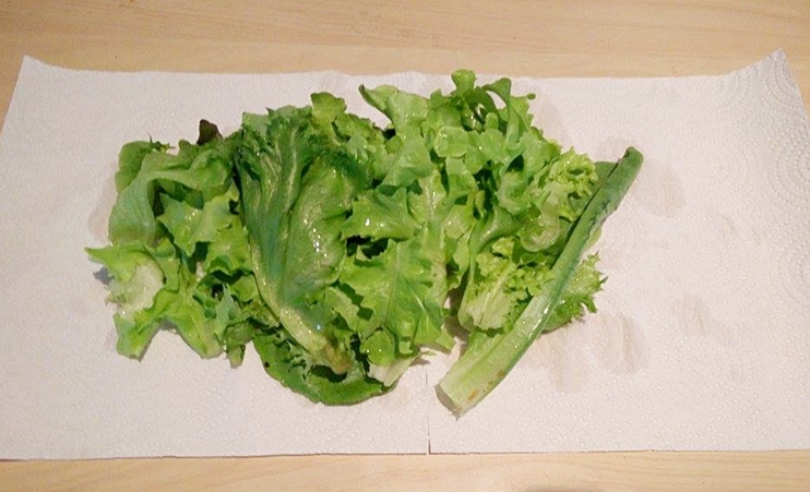 keep salad fresh 04