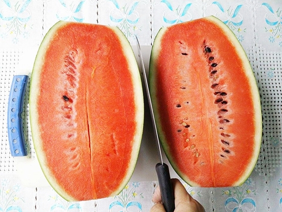Watermelon Jello 02