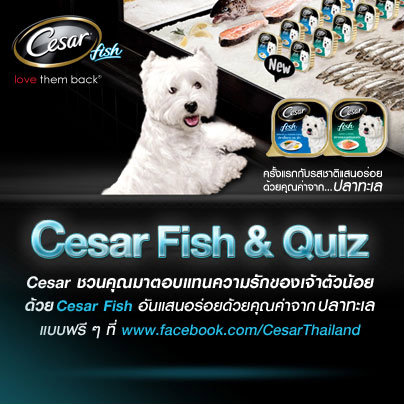 ลุ้นรับอาหารสุนัขรสใหม่ ในกิจกรรม Cesar Fish & Quiz