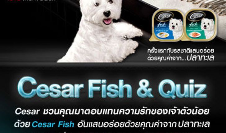 ลุ้นรับอาหารสุนัขรสใหม่ ในกิจกรรม Cesar Fish & Quiz