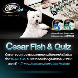 ลุ้นรับอาหารสุนัขรสใหม่ ในกิจกรรม Cesar Fish & Quiz