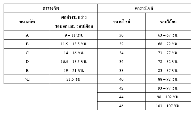 ตารางเทียบขนาดไซส์