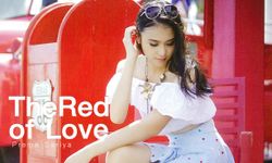 Preme Sariya Wallpaper : The Red Of Love