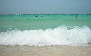 หาดสวย น้ำใส กับหนึ่งวันที่หาดแสม เกาะล้าน