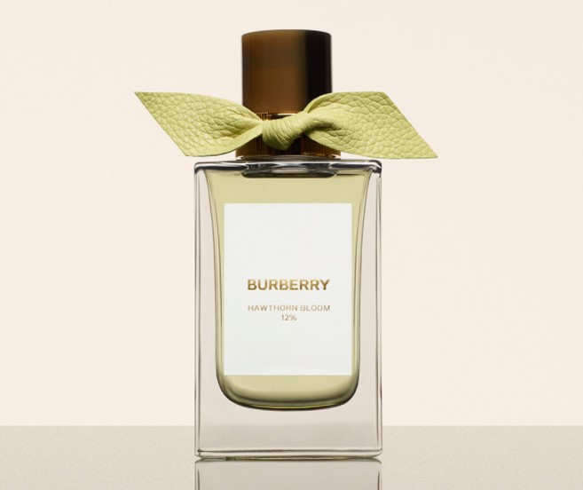 Burberry Signature Hawthorn Bloom