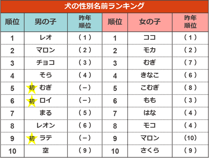 10 อันดับชื่อสุนัขแบ่งตามเพศ