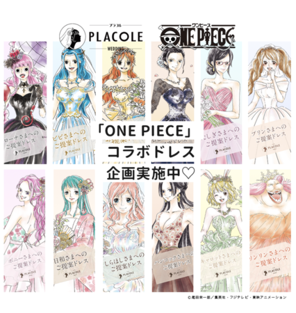 ตัวละครสาวจาก One Piece ที่อยู่ในโปรเจ็คนี้