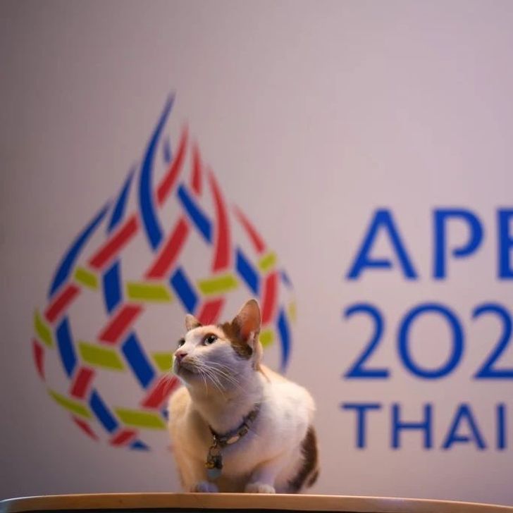 เอเปค 2022 