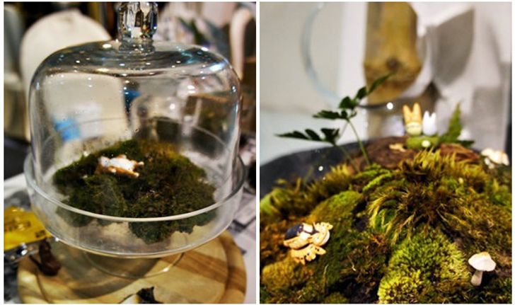 จัด "สวนขวดแก้ว" Terrarium ด้วยตัวเอง