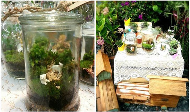 Terrarium ยกสวนสวยมาไว้ในขวดแก้ว