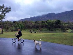 ส่อง “บ้านสรยุทธ” บ้านพักตากอากาศสุดหรูที่ “เขาใหญ่”