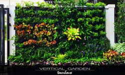 DIY สวนแนวตั้ง vertical garden ในงบไม่เกิน 10000 บาท