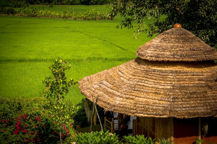 กระท่อมไม้ไผ่ (Hut) บรรยากาศสงบ ท่ามกลางทุ่งนาข้าว