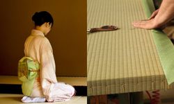 เสื่อทาทามิ ความเรียบง่ายที่สุดแสนจะวิเศษของบ้านแบบญี่ปุ่น