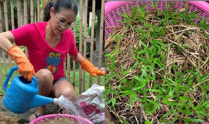 “กบ ปภัสรา” สวยครบ รักสุขภาพ ปลูกผักกินเองที่บ้าน