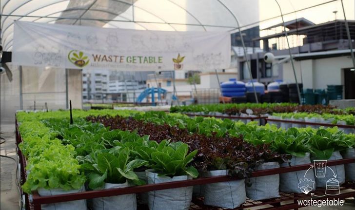 อนุสาวรีย์ดี๊ดี สวนผักปลอดสารบนดาดฟ้าห้าง “ Center One” จัดการเศษอาหาร แปลงขยะเป็นปุ๋ย