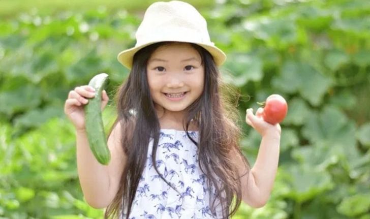 การปลูกผักร่วมกัน วิธีการที่คนญี่ปุ่นใช้เพิ่มผลผลิตผักและลดการใช้สารเคมี