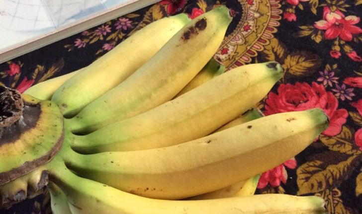 แบ่งปันวิธีถนอมอาหาร “เก็บกล้วยอย่างไรให้อยู่ได้นาน ” ง่ายนิดเดียว