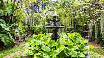 Tropical Garden เคล็ดลับการจัดสวนเมืองร้อนให้สวยเป็นธรรมชาติ