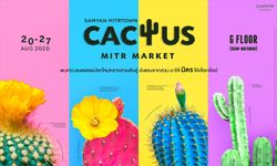 สามย่านมิตรทาวน์  จัดงาน “CACTUS MITR MARKET” ชวนสายกรีนช้อปแคคตัสสุดน่ารัก