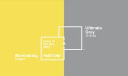 มาเป็นคู่  Pantone ประกาศให้สีเหลือง และสีเทาเป็นสีแห่งปี 2021