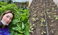 สวนคุณแม่ “บัวชมพู ฟอร์ด” ปลูกผักกินเอง ผลผลิตดี จนต้องแปลงโฉมเป็นแม่ค้าขายผัก