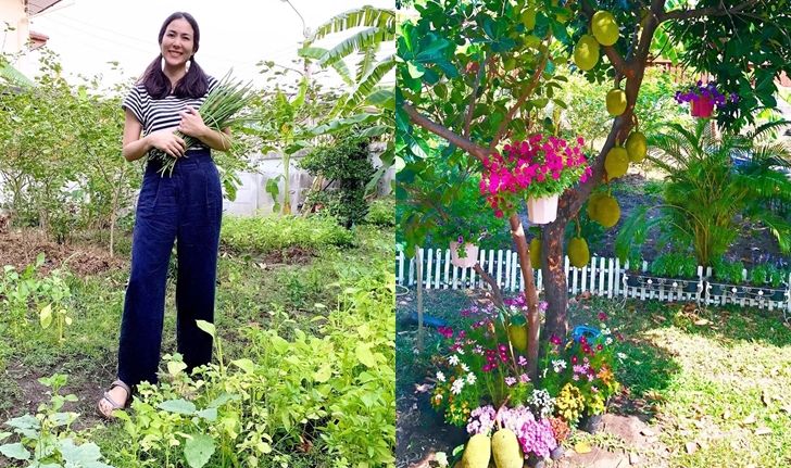 สวยสายเกษตร “เชอรี่ เข็มอัปสร” ลงแปลงเก็บผัก ทำอาหาร ชีวิตในช่วงหยุดอยู่บ้าน