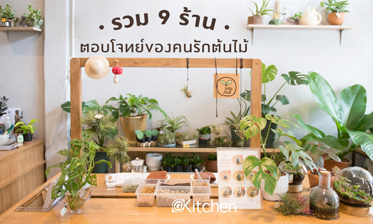 รวม 9 ร้านต้นไม้น่าไป ตอบโจทย์คนรักต้นไม้แต่งบ้าน