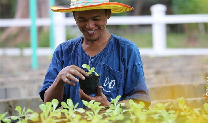 จากสนามโปโลสู่ DO Farm แปลงผัก นาข้าวบนผืนทราย ของดุสิตธานี หัวหิน