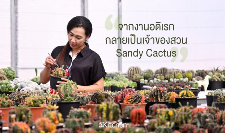 Sandy Cactus สวนกระบองเพชร ที่มีจุดเริ่มต้นมาจากงานอดิเรก