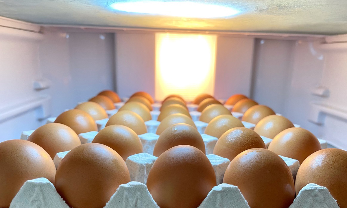 วิธีเก็บรักษาไข่ ยืดอายุให้ทานได้นานขึ้น