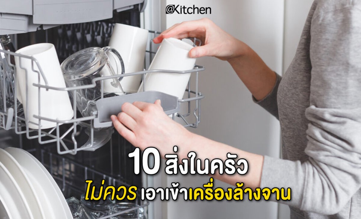 รวมลิสต์ 10 สิ่งในครัวไม่ควรเอาเข้าเครื่องล้างจาน รู้ไว้ อุปกรณ์ ไม่เสียหาย