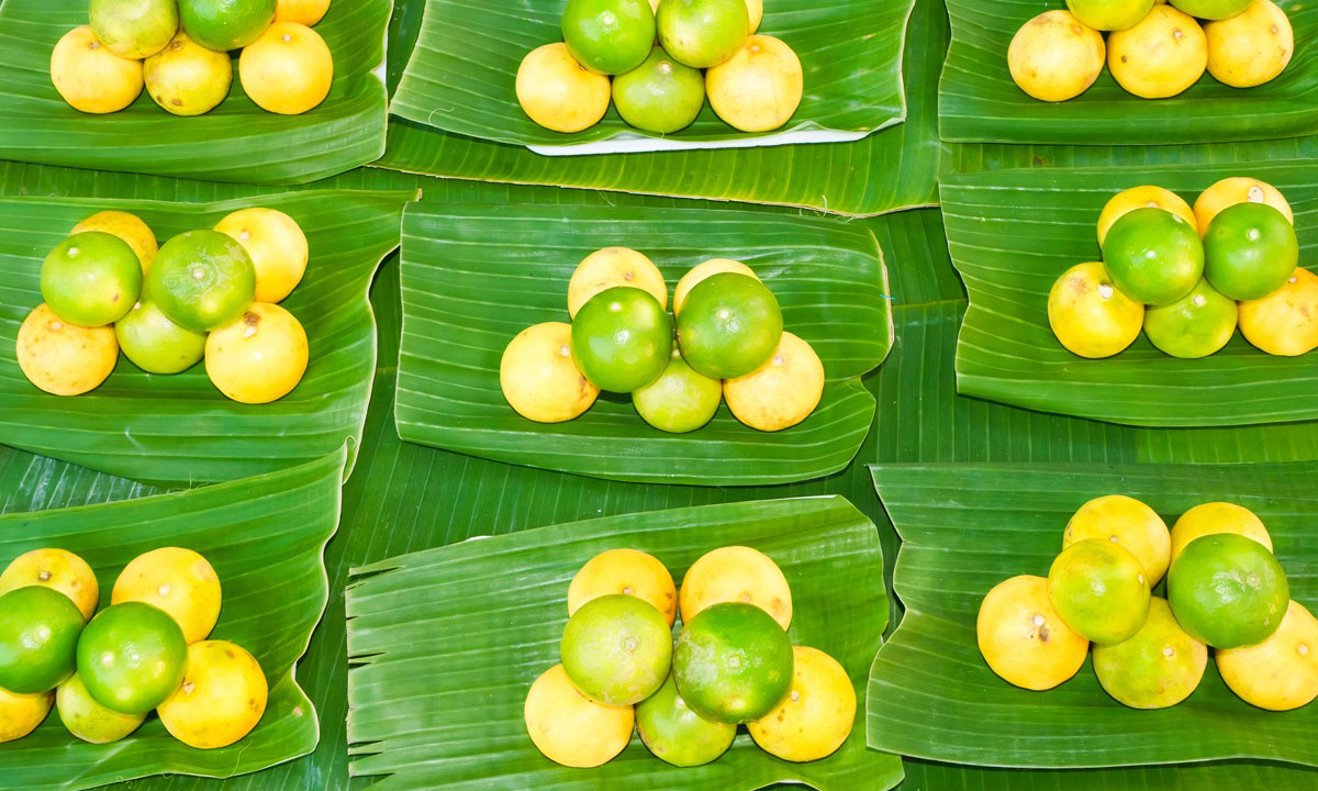 วิธีเก็บมะนาวให้สดใหม่ได้รสชาติเสมอ