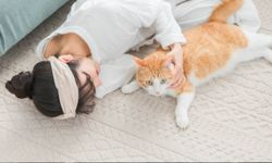 โอม.. แมวเอ๋ยจงรัก! ทาสแมวญี่ปุ่นแนะนำ พูดยังไงให้แมวหลงรัก