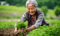 หมอญี่ปุ่นแนะนำ! วิธีดูแลสุขภาพเพื่อผ่านวัยทองสู่วัยสูงอายุอย่างแข็งแรง
