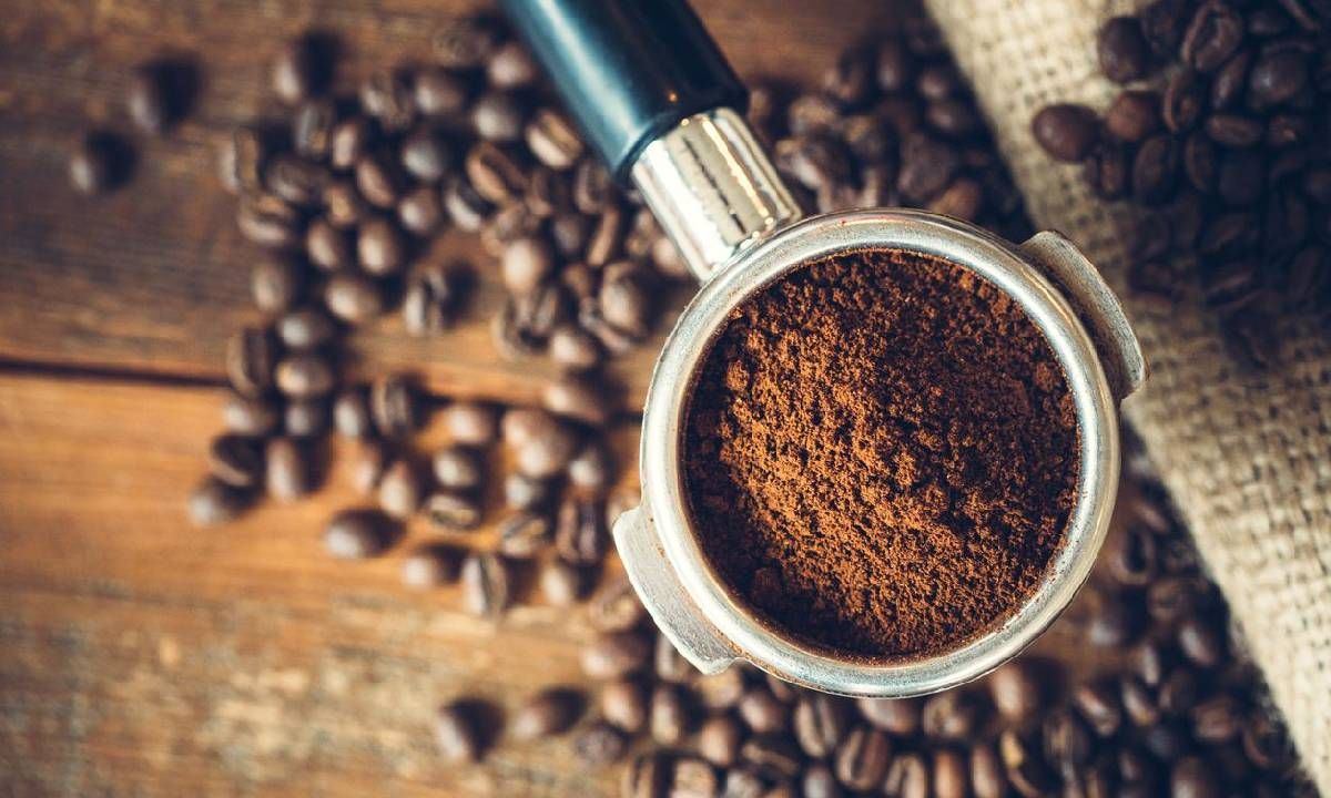 ทำไมไม่ควรเก็บเมล็ดกาแฟไว้ในตู้เย็น และวิธีเก็บกาแฟที่ดีที่สุดคือวิธีไหน
