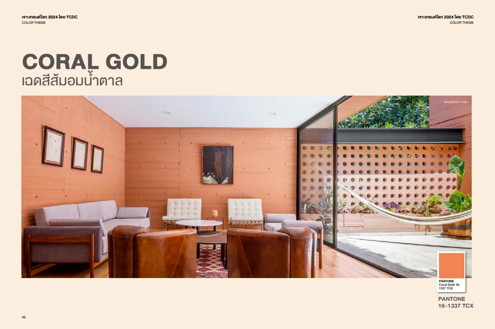 เทรนด์สีปี 2024