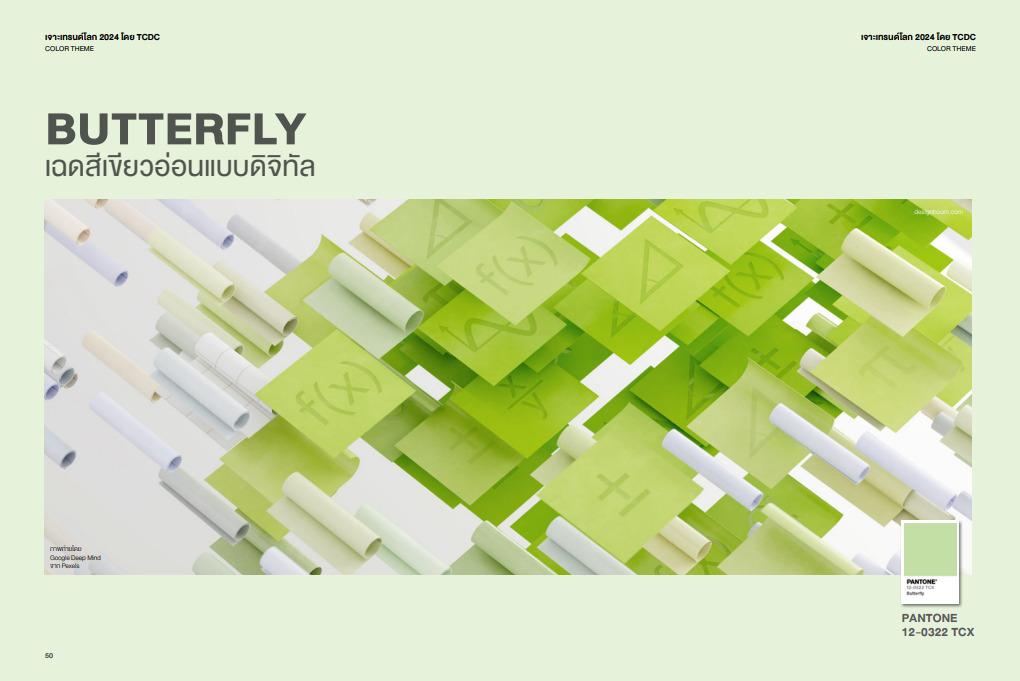 เทรนด์สีปี 2024