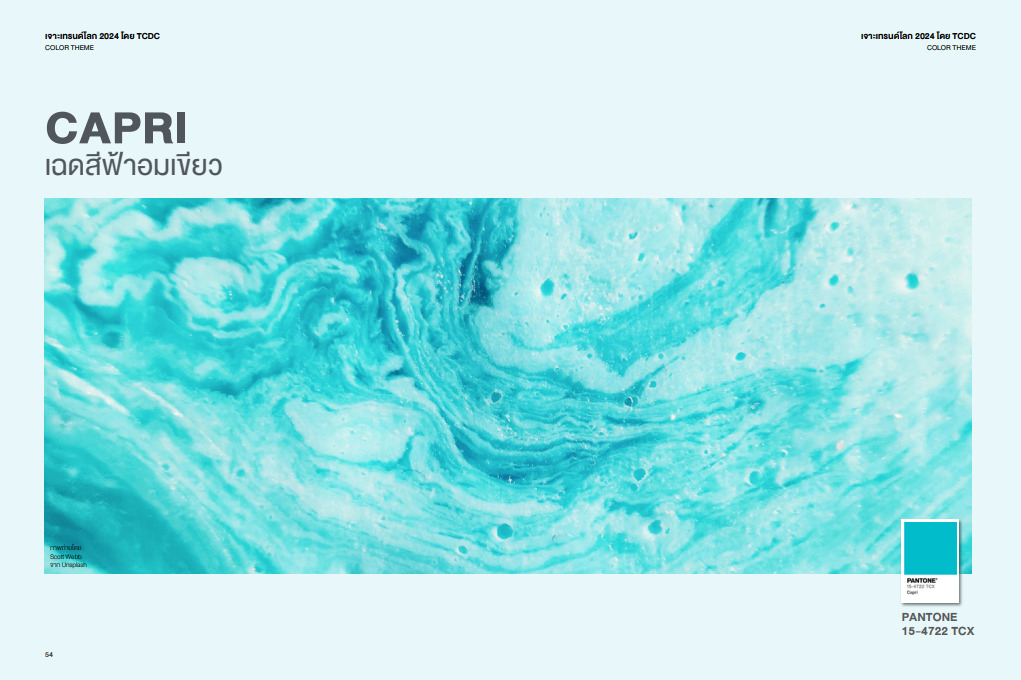 เทรนด์สีปี 2024