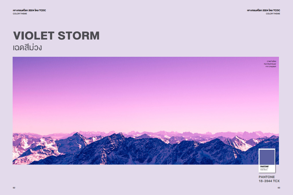 เทรนด์สีปี 2024