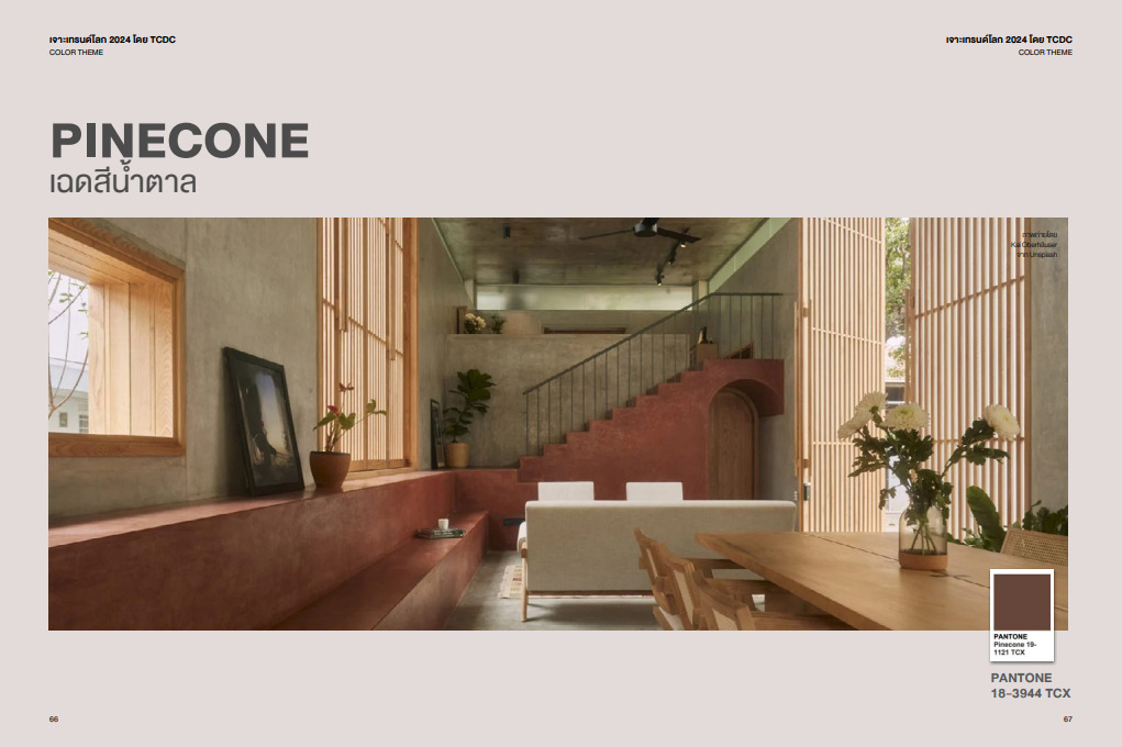 เทรนด์สีปี 2024