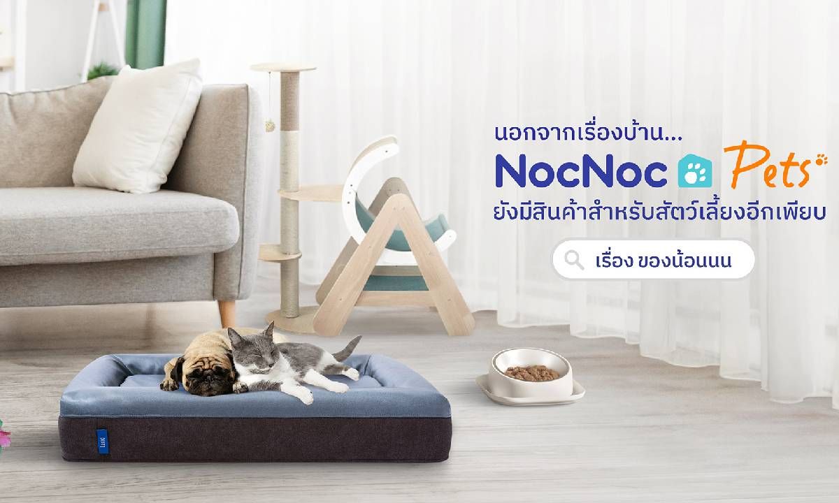 NocNoc ขยายหมวดสินค้า “Pets Category”  เจาะกลุ่มคุณพ่อ-คุณแม่น้อน