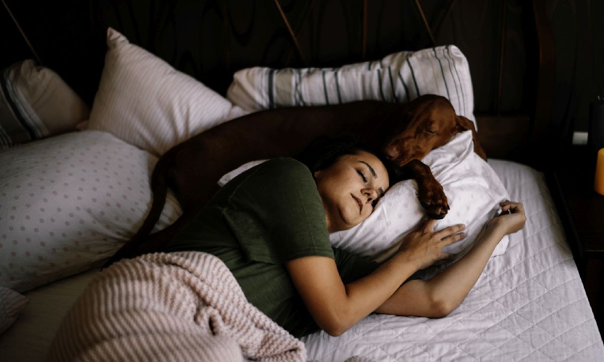 ผู้เชี่ยวชาญแนะ ควรให้สัตว์เลี้ยงนอนเตียงเดียวกับคุณหรือเปล่า?