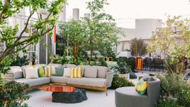 “พืชตระกูลส้ม” มาแรง! เปิดเทรนด์จัดสวนสไตล์ Urban Living 2024