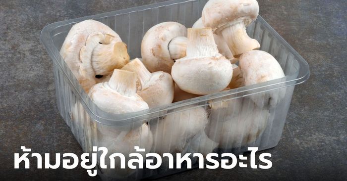 "เห็ด" ห้ามเก็บไว้ใกล้อาหารชนิดใดบ้าง เพราะอะไร