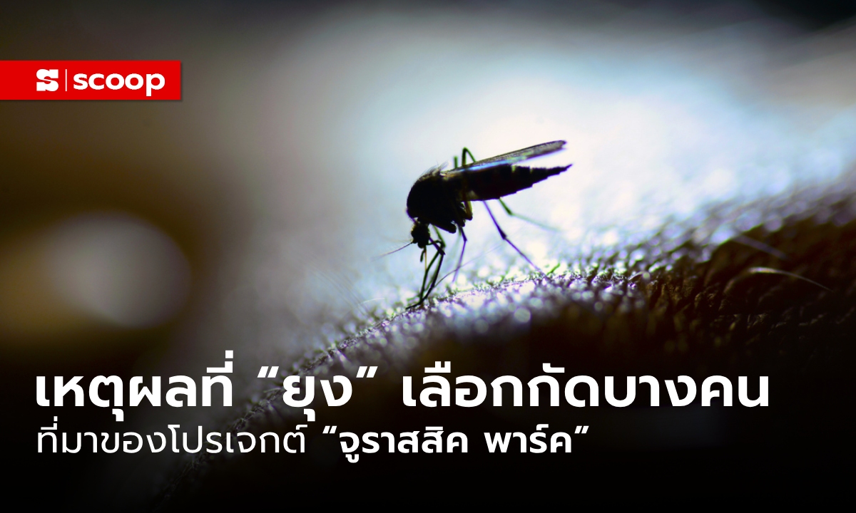 เหตุผลที่ "ยุง" เลือกกัดบางคน ที่มาของโปรเจกต์ “จูราสสิค พาร์ค”