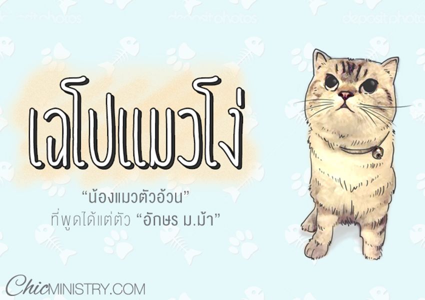 ผมชื่อเฉโปนะครับ