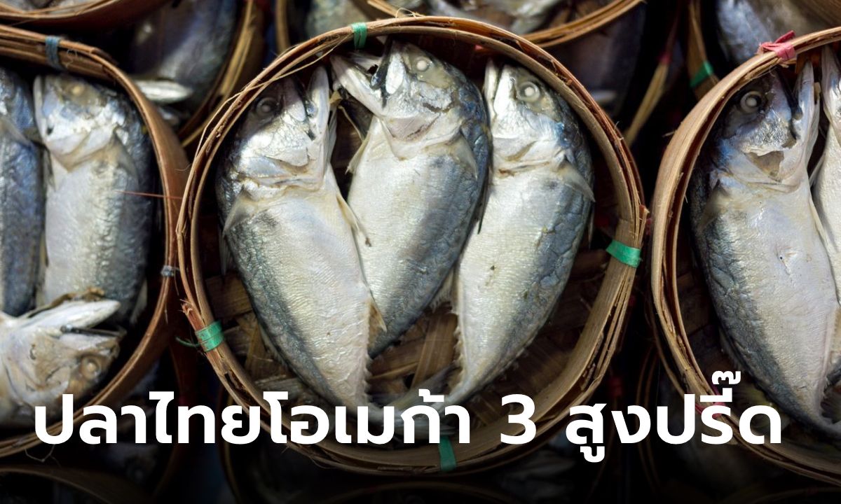 11 อันดับปลาไทยโอเมก้า 3 สูงปรี๊ด ไม่เปลืองตังค์กินแซลมอน