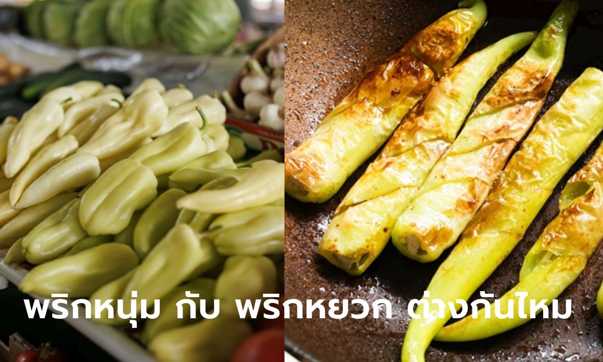 "พริกหนุ่ม" กับ "พริกหยวก" ต่างกันอย่างไร พริกไหนเผ็ดกว่ากัน